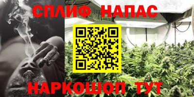 эйфоретик Бузулук